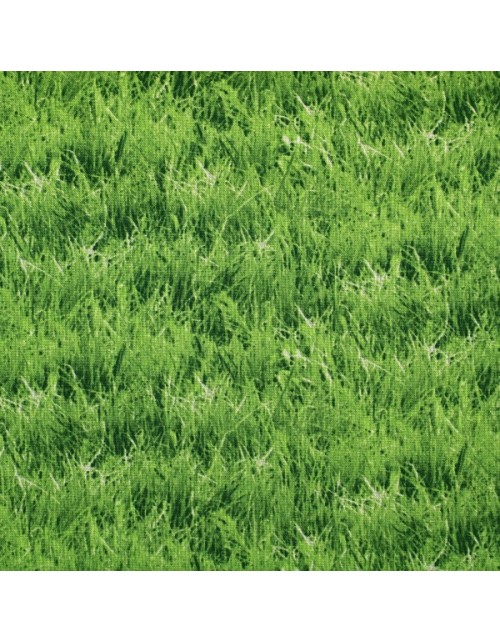 Naturaleza césped fresco