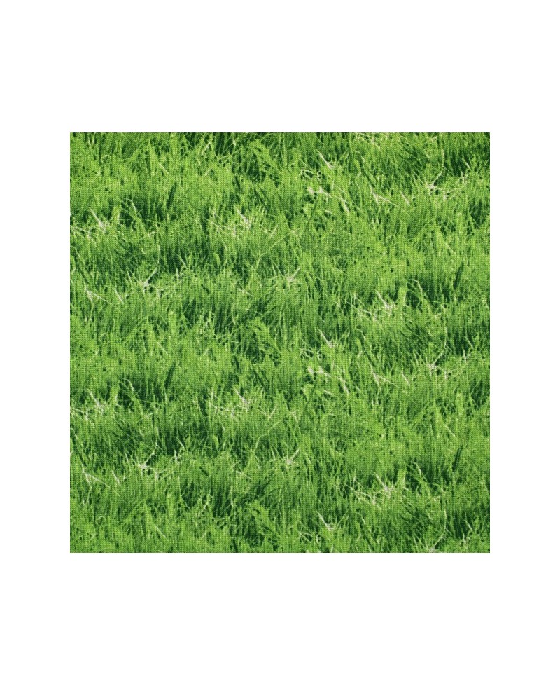 Naturaleza césped fresco