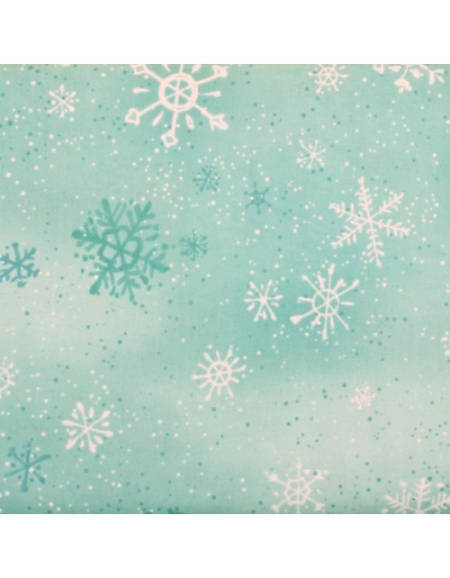 Naturaleza cielo claro con estrellas de nieve