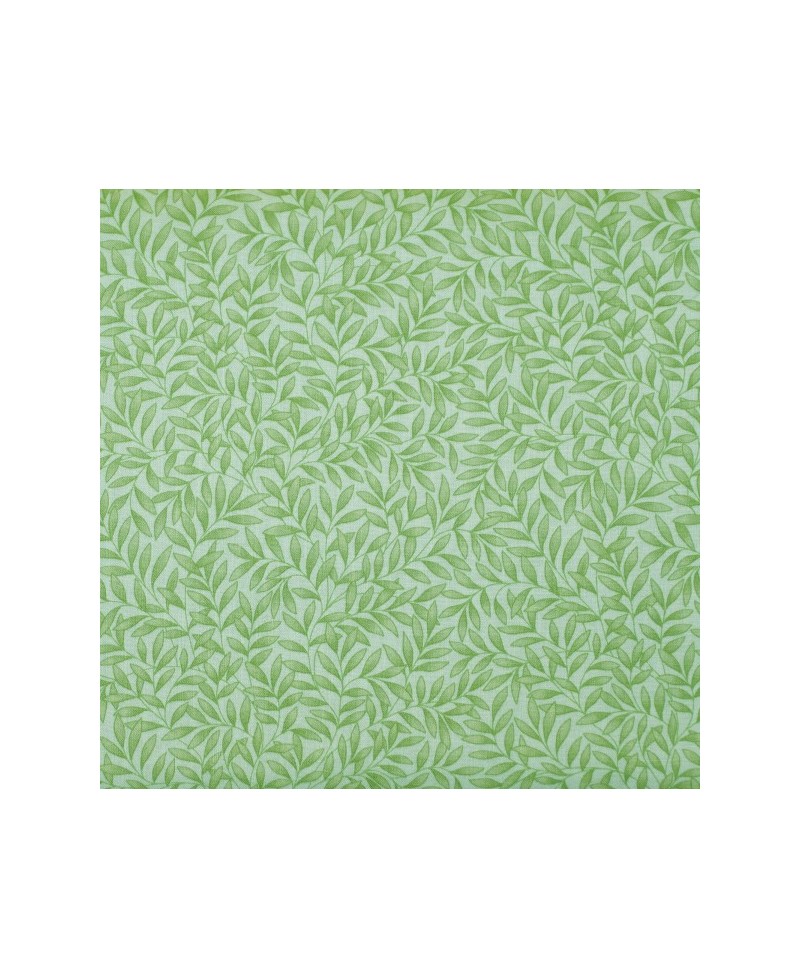 Naturaleza hojitas verdes pequeñas